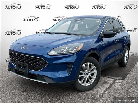 2022 Ford Escape SE (Stk: 5S055X) in Oakville - Image 1 of 25