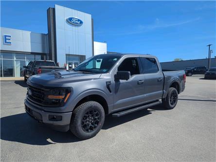 2025 Ford F-150 XLT (Stk: F1173) in Miramichi - Image 1 of 13