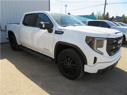 2023 GMC Sierra 1500 Elevation (Stk: TT-017A) in KILLARNEY - Image 1 of 2