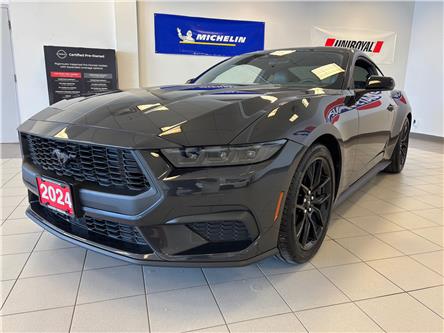 2024 Ford Mustang EcoBoost Premium (Stk: P6851) in Toronto - Image 1 of 16