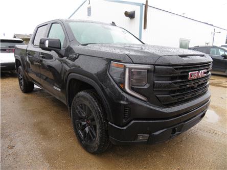 2025 GMC Sierra 1500 Elevation (Stk: 25-163) in KILLARNEY - Image 1 of 2