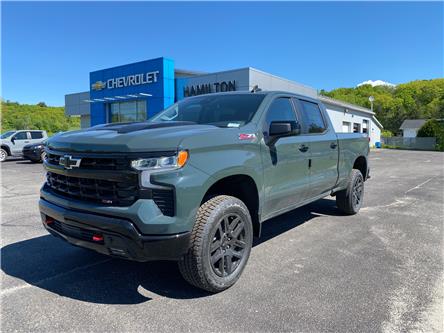 2025 Chevrolet Silverado 1500 LT Trail Boss (Stk: 12648) in Wakefield - Image 1 of 22