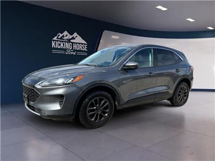 2021 Ford Escape SE (Stk: 15055) in Golden - Image 1 of 17