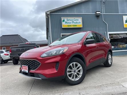 2022 Ford Escape SE (Stk: 7689) in Belmont - Image 1 of 21
