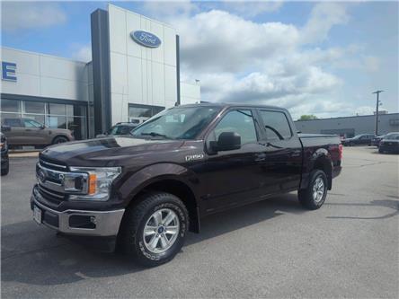 2019 Ford F-150  (Stk: F972A) in Miramichi - Image 1 of 13
