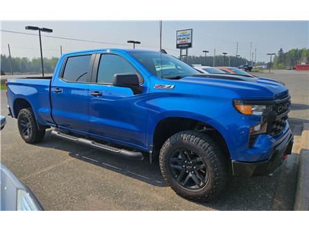 2022 Chevrolet Silverado 1500 Custom Trail Boss (Stk: 25169A) in Terrace Bay - Image 1 of 3