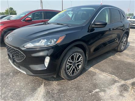 2022 Ford Escape SEL (Stk: 25396A) in Steinbach - Image 1 of 8