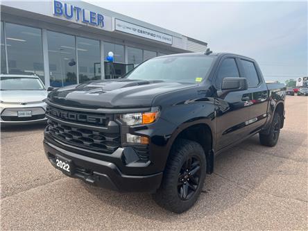 2022 Chevrolet Silverado 1500 Custom Trail Boss (Stk: 25-341-1) in Pembroke - Image 1 of 14