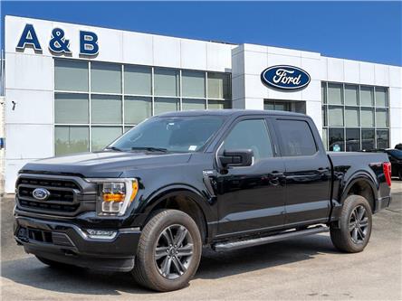 2023 Ford F-150 XLT (Stk: A6836) in Perth - Image 1 of 40