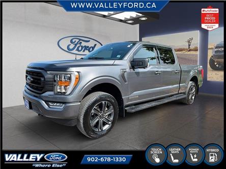 2023 Ford F-150  (Stk: 25169A) in Kentville - Image 1 of 23