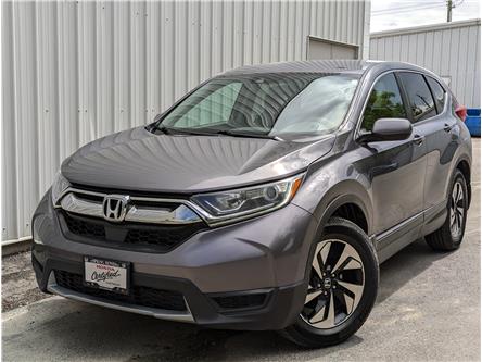 2018 Honda CR-V LX (Stk: H16632A) in North Cranbrook - Image 1 of 15