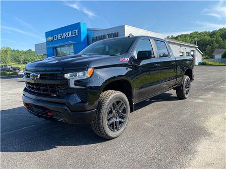 2025 Chevrolet Silverado 1500 LT Trail Boss (Stk: 12721) in Wakefield - Image 1 of 22