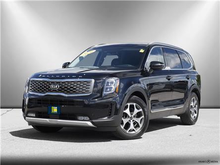 2021 Kia Telluride EX (Stk: 19778A) in Hawkesbury - Image 1 of 24