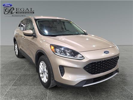 2020 Ford Escape SE (Stk: S9546A) in ROSETOWN - Image 1 of 17