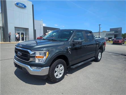 2021 Ford F-150  (Stk: F1236A) in Miramichi - Image 1 of 13