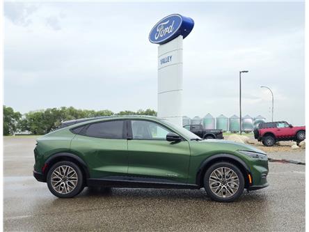 2024 Ford Mustang Mach-E Premium (Stk: I49268) in Hague - Image 1 of 15