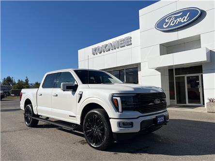 2025 Ford F-150 Platinum (Stk: 25T921) in CRESTON - Image 1 of 30
