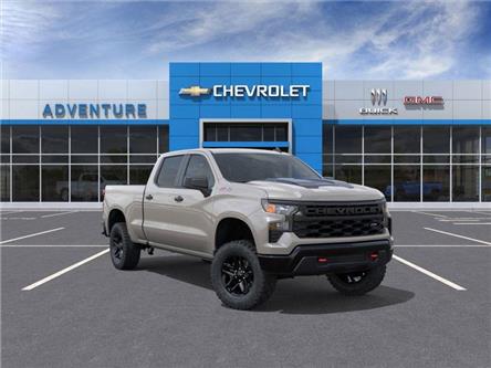 2026 Chevrolet Silverado 1500 Custom Trail Boss (Stk: 80088018) in Fairview - Image 1 of 24