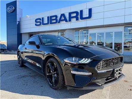 2023 Ford Mustang EcoBoost Premium (Stk: S25571B) in Newmarket - Image 1 of 21 2023 Ford Mustang EcoBoost Premium (Stk: S25571B) in Newmarket - Image 1 of 21