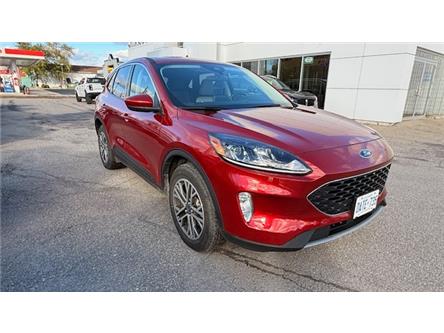 2022 Ford Escape SEL (Stk: 25FP16) in GANANOQUE - Image 1 of 9