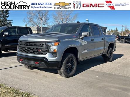 2026 Chevrolet Silverado 1500 Custom Trail Boss (Stk: CT069) in High River - Image 1 of 6
