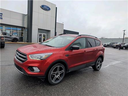2019 Ford Escape SEL (Stk: EP506M) in Miramichi - Image 1 of 14