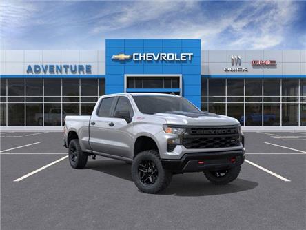 2026 Chevrolet Silverado 1500 Custom Trail Boss (Stk: 80087935) in Fairview - Image 1 of 24