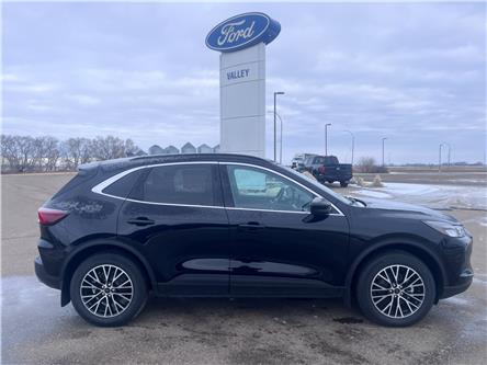 2025 Ford Escape PHEV (Stk: S66663) in Hague - Image 1 of 15
