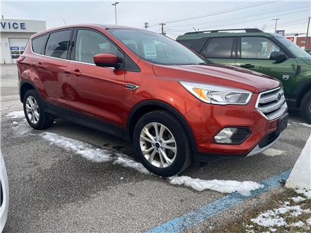2019 Ford Escape SE (Stk: TT8217) in Sarnia - Image 1 of 2