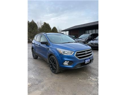 2019 Ford Escape SE (Stk: 1765A) in Ottawa - Image 1 of 5