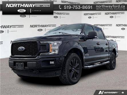 2019 Ford F-150 (Stk: 5F74931A) in Brantford - Image 1 of 20 2019 Ford F-150 (Stk: 5F74931A) in Brantford - Image 1 of 20