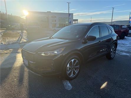 2024 Ford Escape Platinum (Stk: 5P026) in Williams Lake - Image 1 of 13
