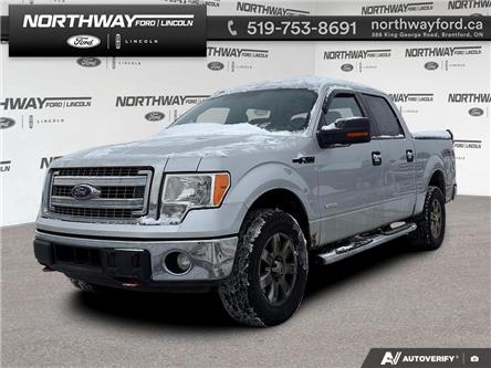 2014 Ford F-150 XLT (Stk: P11679A) in Brantford - Image 1 of 18