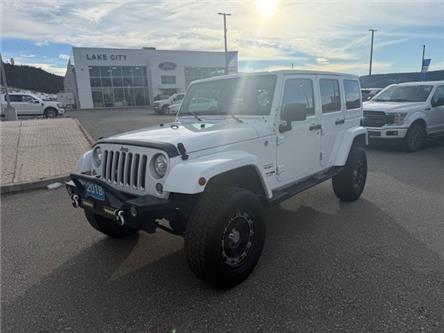 2018 Jeep Wrangler JK Unlimited Sahara (Stk: 5S046A) in Williams Lake - Image 1 of 13
