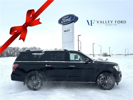 2019 Ford Expedition Max Limited (Stk: U46648) in Hague - Image 1 of 15