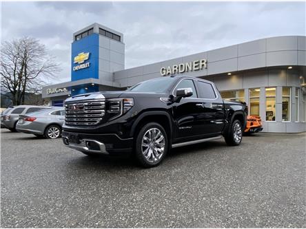 2024 GMC Sierra 1500 Denali (Stk: 6T162A) in Hope - Image 1 of 13