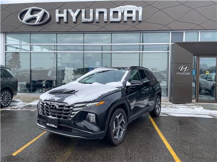 2024 Hyundai Tucson Hybrid Luxury (Stk: 5B054A) in Chatham - Image 1 of 30