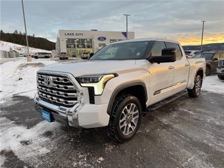 2022 Toyota Tundra Platinum (Stk: 5S020A) in Williams Lake - Image 1 of 14 2022 Toyota Tundra Platinum (Stk: 5S020A) in Williams Lake - Image 1 of 14