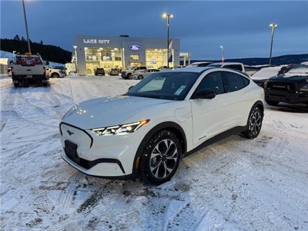2025 Ford Mustang Mach-E Select (Stk: 5S060) in Williams Lake - Image 1 of 13