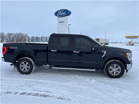2023 Ford F-150 XLT (Stk: U73684) in Hague - Image 1 of 14