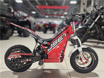 2025 OSET 12.5R 24V KIDS RACE E-BIKE (Stk: 25OS-001) in Grande Prairie - Image 1 of 8