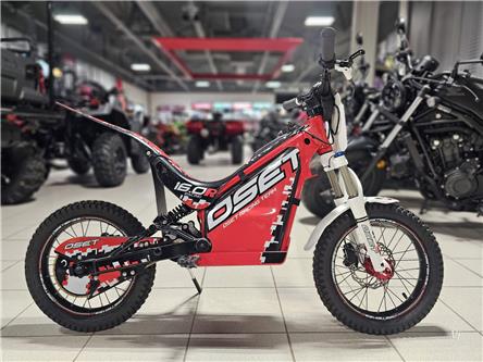2025 OSET 16.0R 36V KIDS RACE E-BIKE (Stk: 25OS-003) in Grande Prairie - Image 1 of 8
