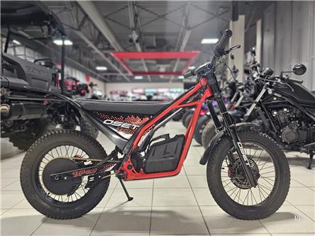 2025 - TXP-20 E-BIKE (Stk: 25OS-004) in Grande Prairie - Image 1 of 8