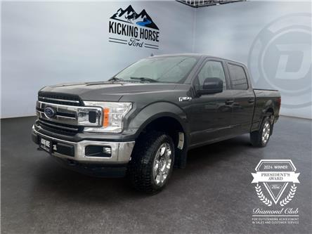 2020 Ford F-150  (Stk: 15313) in Golden - Image 1 of 17