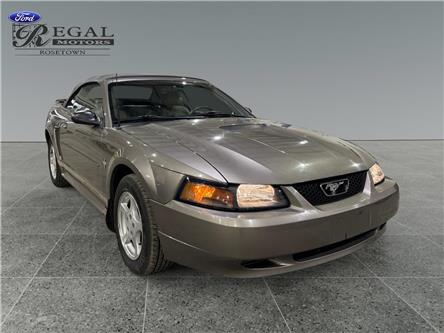 2002 Ford Mustang Base (Stk: S9848C) in ROSETOWN - Image 1 of 17