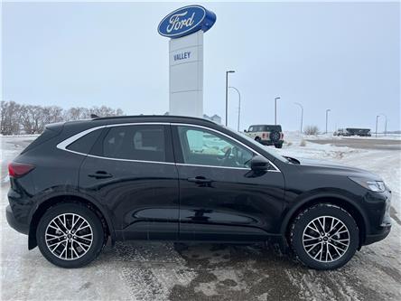 2025 Ford Escape PHEV (Stk: S66663) in Hague - Image 1 of 13