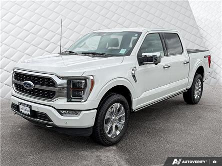 2023 Ford F-150 Platinum (Stk: T79272) in Richmond - Image 1 of 25
