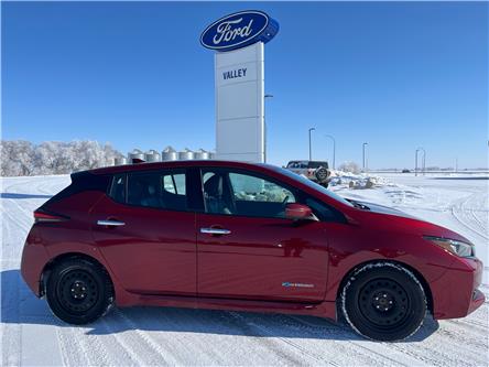 2019 Nissan LEAF SV (Stk: U01933) in Hague - Image 1 of 14