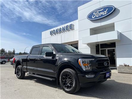 2023 Ford F-150 XLT (Stk: 25T924A) in CRESTON - Image 1 of 22