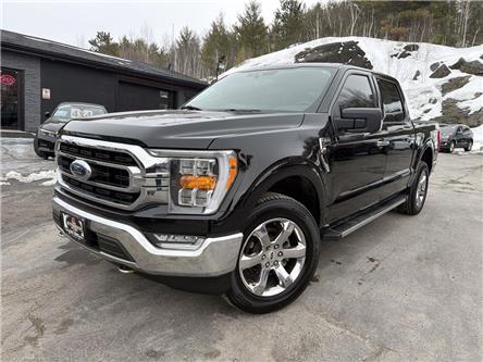 2021 Ford F-150 XLT (Stk: 14824) in Sudbury - Image 1 of 18